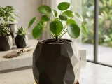Low-poly geometric multi-purpose container / vase-6