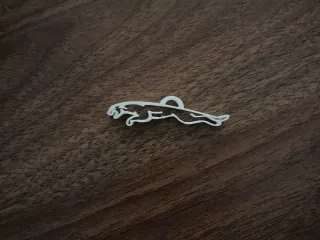 A Jaguar For Keychains!