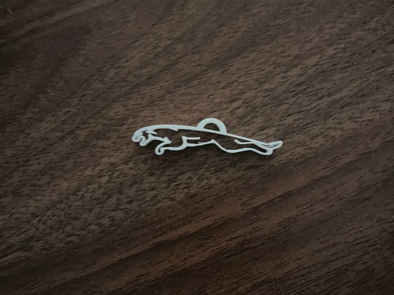 A Jaguar For Keychains!
