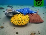 Ray Mini Pack - Multicolor 3mfs included-1