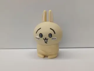 usagi