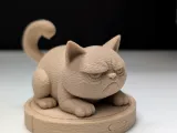 Grumpy Cat on a Roomba-0