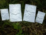 Camellia More-Than-a-Lithophane-2