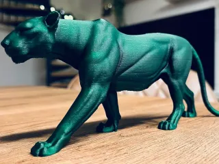 Puma table or shelf display decor for home or office