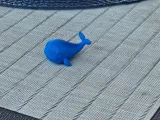 Whaley-3