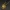 Golden Snitch Dorado Harry Potter Quidditch Quiddich