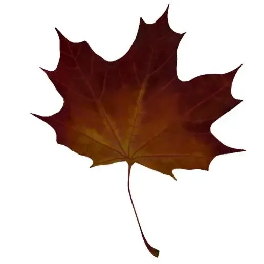 Realistic Red Maple Leaf 3D Model STL Printable
