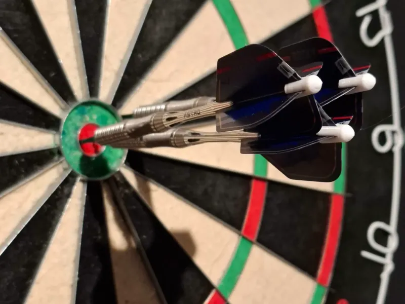 Dart flight protector