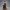 Roxanne Vale – Midnight Barmaid Edition