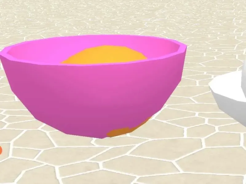 Soup and Rice