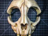 wearable cat skull mask-0
