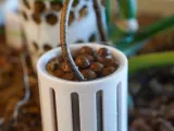 RootDock Planter - Direct-to-Soil Propagation Pod-5