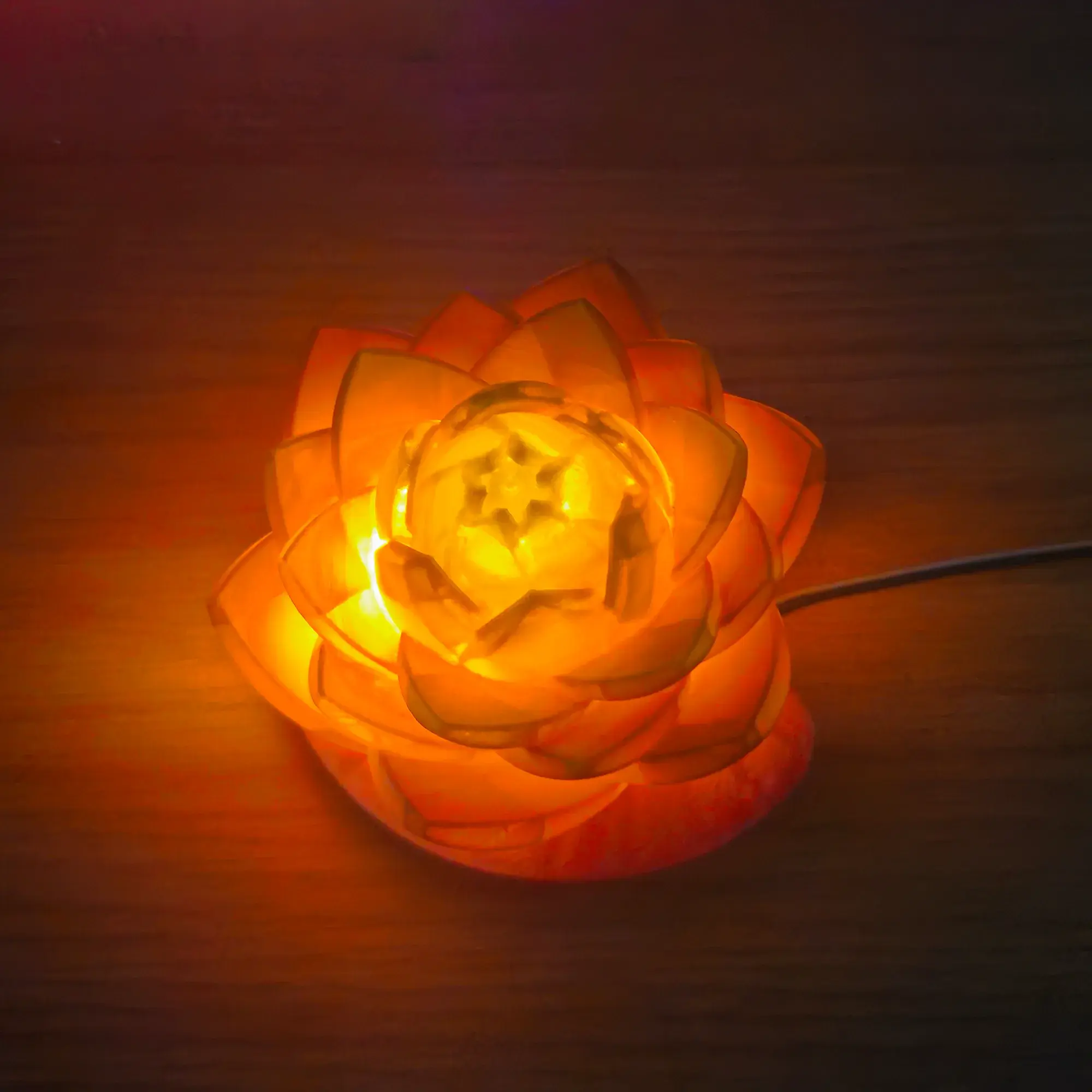 Lotus-Lampe