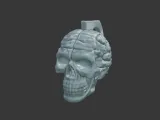 Skull with Exposed Brain 3D Print Model-6