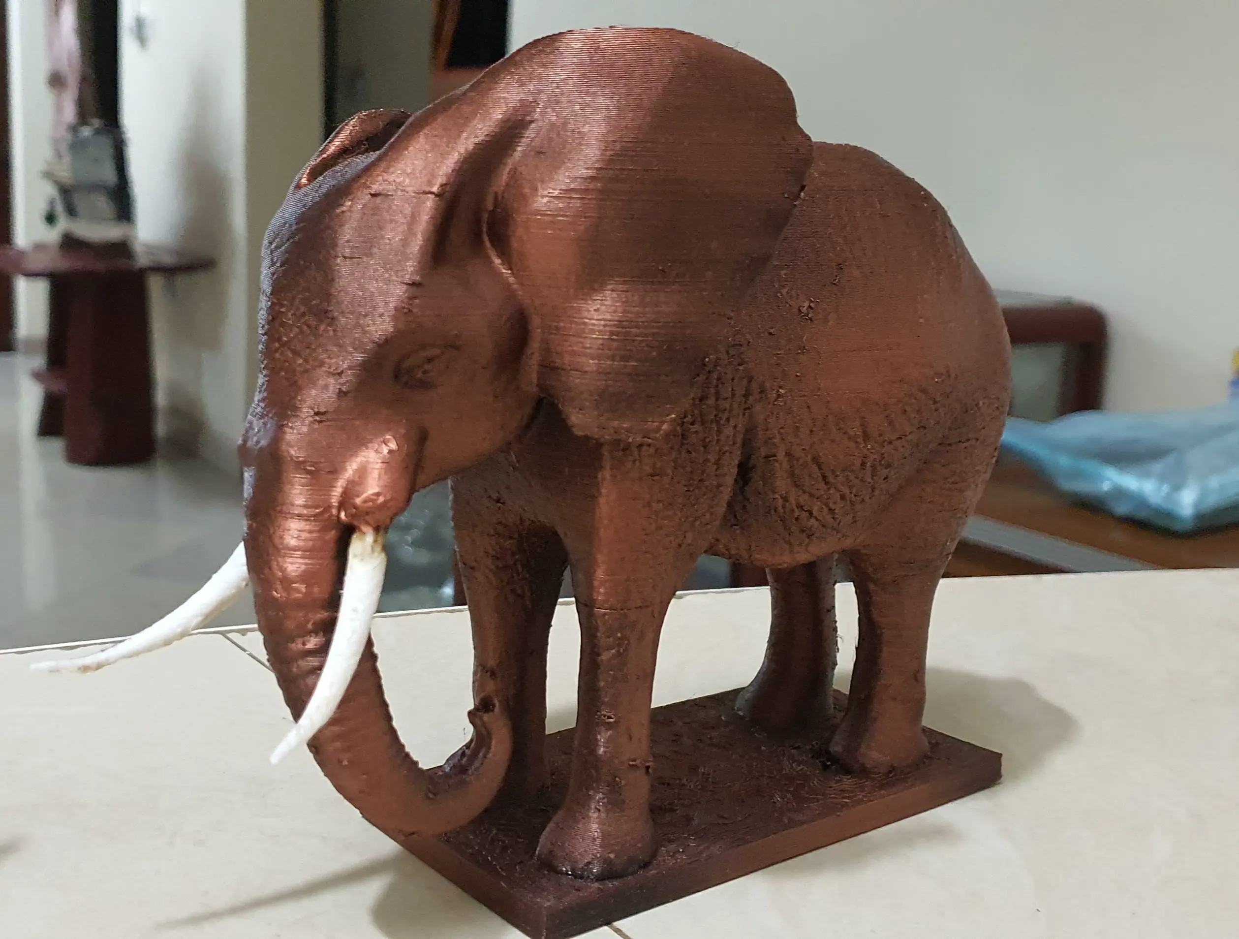 African WIldlife Animals - Big 5 series  - Elephant