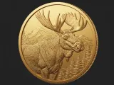 Moose Medal-0