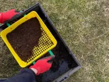 Sieve-2
