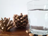 Pine Cone Coasters-8