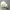 Light bulb