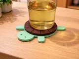 Turtle Coaster-2