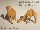 Baby Camel-6