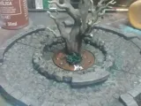 Town Oak-1