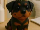 Rottweiler pots-2