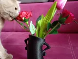 Modern Thinking Vase-3