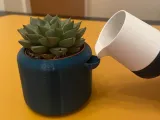 Pot-0