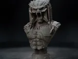 Predator Bust-0