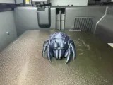 Little Spider-2