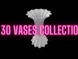 30 Vases Collection-0