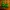 Grinch-Schale