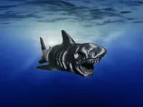 Dark Horror Shark!-4