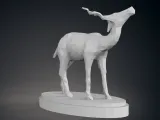 ANTELOPE SPRINGBOK-2
