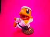 Karateka Charmander-5