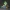 Lightbox Luigi