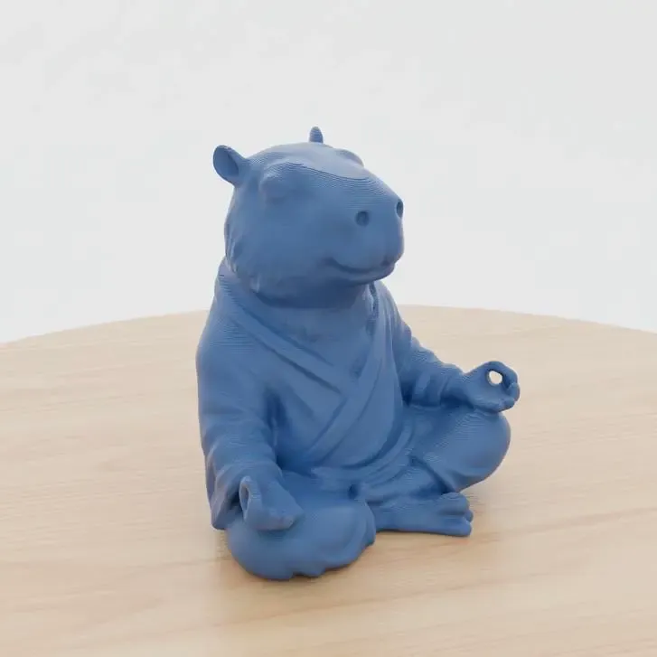 Zen Capybara