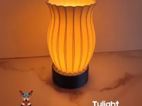 Lampe Tulight !
