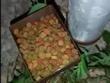 Mangiatoia per animali a bordo strada-3