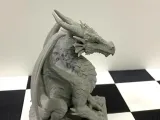 Vigilant dragon-5