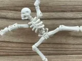 Skeleton-1