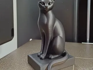 Elegant Sitting Cat