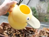 psyduck -0