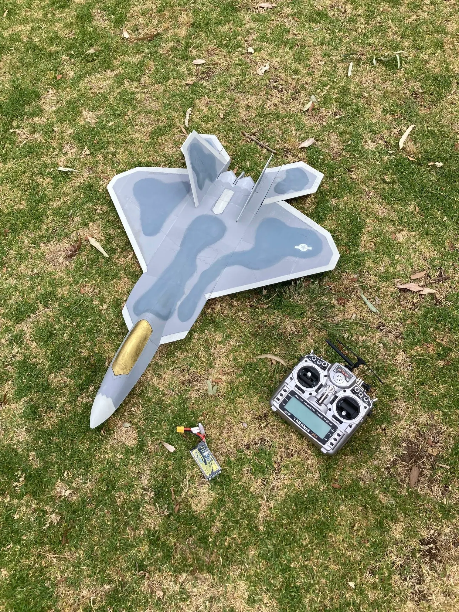 Lockheed Martin F-22 Raptor 700mm span EDF Flyable RC Jet