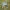 Lockheed Martin F-22 Raptor 700mm Spannweite EDF Flyable RC Jet