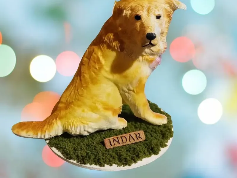 Golden Retriever cruzado con Pastor Vasco (Indar)