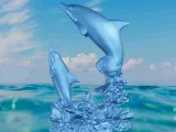 Dolphin coral-1