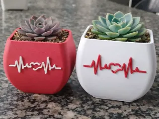 Heartbeat Plant Pot