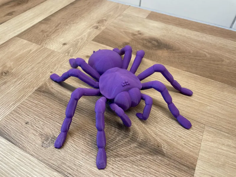 Tarantula Spider